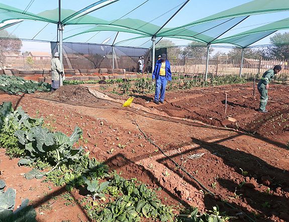 Een kijkje in de moestuin in Refilwe...