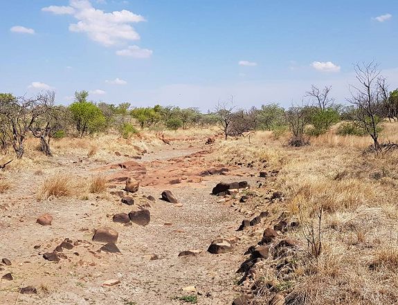 Droogte in Hammanskraal